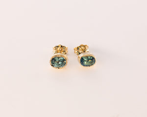 “Sekitsei” 10kt Yellow Gold Earrings